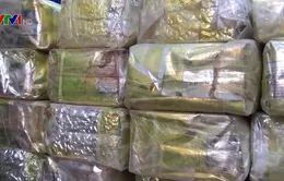 Philippines thu giữ 276kg ma túy tổng hợp