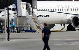 Hai máy bay Boeing 787 bị rơi đều thiếu những tính năng an toàn trong buồng lái