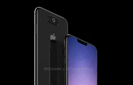 iPhone 11 có thể sạc không dây cho thiết bị khác?