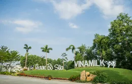 “Resort” bò sữa Vinamilk Tây Ninh - Ngôi nhà của những cô bò hạnh phúc