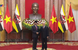 Đưa quan hệ Việt Nam - Brunei lên tầm đối tác toàn diện