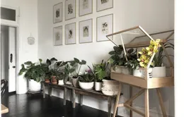 Cải thiện không gian bằng cách đưa thiên nhiên vào nhà