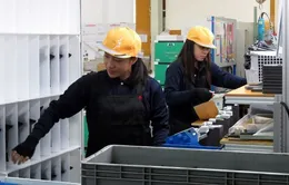 Nhiều lao động nước ngoài ở Nhật bỏ trốn vì lương thấp