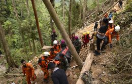 Nhiều khả năng gần 100 người vẫn bị mắc kẹt trong vụ sập hầm mỏ ở Indonesia