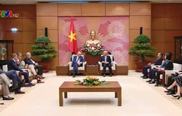 Tăng cường hợp tác Việt Nam - Bỉ