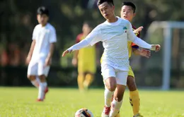 Bốc thăm chia bảng VCK U19 Quốc gia 2019: Chủ nhà HAGL gặp Viettel ngày khai mạc