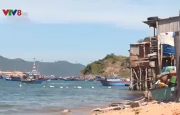 Nha Trang: Người dân vùng dự án bờ kè Vĩnh Nguyên mong muốn tái định cư