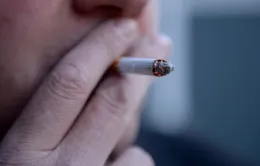 Đan Mạch cấm nhân viên làm việc trong lĩnh vực công hút thuốc
