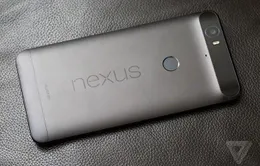 Google và Huawei đã đồng ý bồi thường cho chủ sở hữu Nexus 6P bị lỗi