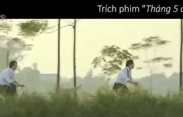 Nỗ lực đưa phim độc lập đến với khán giả