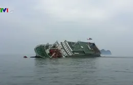 Tổng thống Hàn Quốc cam kết điều tra vụ chìm phà Sewol