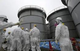 Dọn dẹp nhà máy điện nguyên tử Fukushima