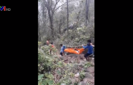 Giải cứu 2 thanh niên bị ong đốt trên núi Bà Đen