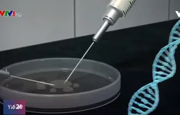 Mỹ: Bắt đầu sử dụng phương pháp chỉnh sửa gen điều trị ung thư