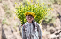 “Ống kính sinh viên” - Sân chơi lý tưởng dành cho các bạn trẻ yêu thích nghề nhiếp ảnh