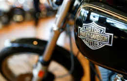 Mỹ sẽ trả đũa thuế quan của EU áp lên Harley Davidson