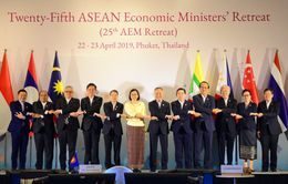 Hội nghị hẹp Bộ trưởng Kinh tế ASEAN lần thứ 25