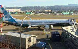 Boeing mất thêm khách hàng vì lỗi của 737 Max