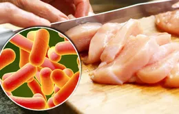 Séc lại phát hiện thịt gà nhập khẩu nhiễm khuẩn salmonella