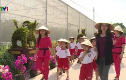 Trải nghiệm du lịch nông nghiệp sạch ở An Giang