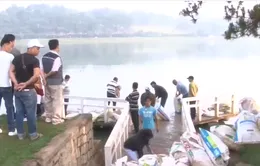 Thả hơn 600kg cá diệt tảo lam tại hồ Xuân Hương