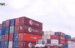 Đề xuất 2 phương án xử lý container phế liệu tồn đọng tại cảng biển