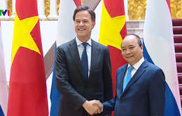 Việt Nam và Hà Lan nhất trí nâng cấp quan hệ lên Đối tác toàn diện