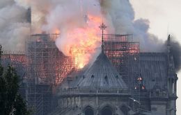 Pháp cảnh báo nguy cơ nhiễm độc chì sau vụ cháy Nhà thờ Đức Bà Paris