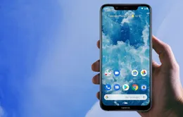 Người dùng smartphone Nokia 8.1 có thể cập nhật lên Android Q Beta