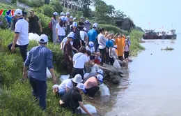 Thả hàng nghìn con cá giống tái tạo nguồn lợi thủy sản tại Hà Nội