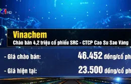 Vinachem chào bán cổ phiếu cao hơn thị giá đang giao dịch