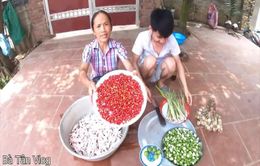 Nông dân Việt Nam làm Youtube
