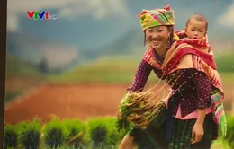 Sắc màu văn hóa dân tộc H'Mông