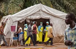 Nguy cơ dịch Ebola ngày càng nghiêm trọng ở Congo