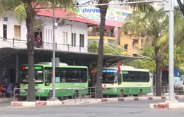 TP.HCM: Tăng giá vé xe bus để giảm bớt khó khăn cho hợp tác xã