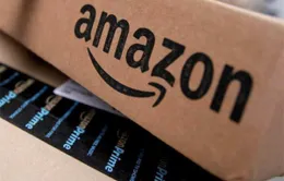 Tập đoàn Amazon và cuộc chiến tranh quyền sở hữu tên miền ".amazon"