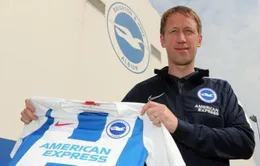 Brighton công bố tân HLV trưởng mùa giải 2019 - 2020