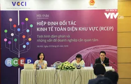 Doanh nghiệp Việt Nam kỳ vọng gì về Hiệp định RCEP?