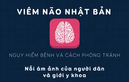 [INFOGRAPHIC] Nguy hiểm bệnh viêm não Nhật Bản và cách phòng tránh