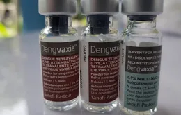 Vaccine sốt xuất huyết Dengvaxia được cấp phép tại Mỹ