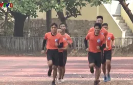 Sôi nổi phong trào chạy bộ tại Đà Nẵng
