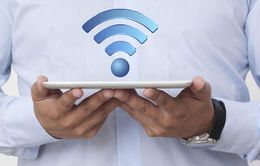 Sóng wifi có thể làm giảm khả năng sinh sản ở nam giới