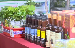 Chọn sản phẩm chế biến từ nho