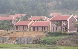 Xem xét kỷ luật vi phạm của Ban Thường vụ Huyện ủy Ba Vì, Hà Nội