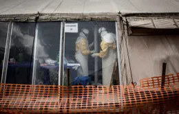 Báo động: Gần 1.000 người tử vong do đại dịch Ebola tại Congo