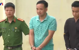 Tín dụng đen tấn công trường học
