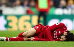 Liverpool đón nhận tổn thất trước trận gặp Barcelona: Salah và Roberto Firmino vắng mặt