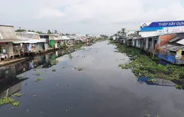 Công bố nguyên nhân sông Cái Lớn bị ô nhiễm nghiêm trọng trong tuần này