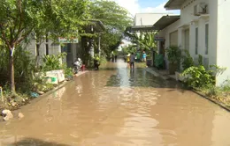 Cần Thơ: Khu dân cư chìm trong biển nước