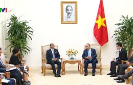 Việt Nam luôn quan tâm thúc đẩy quan hệ, hợp tác với Timor-Leste